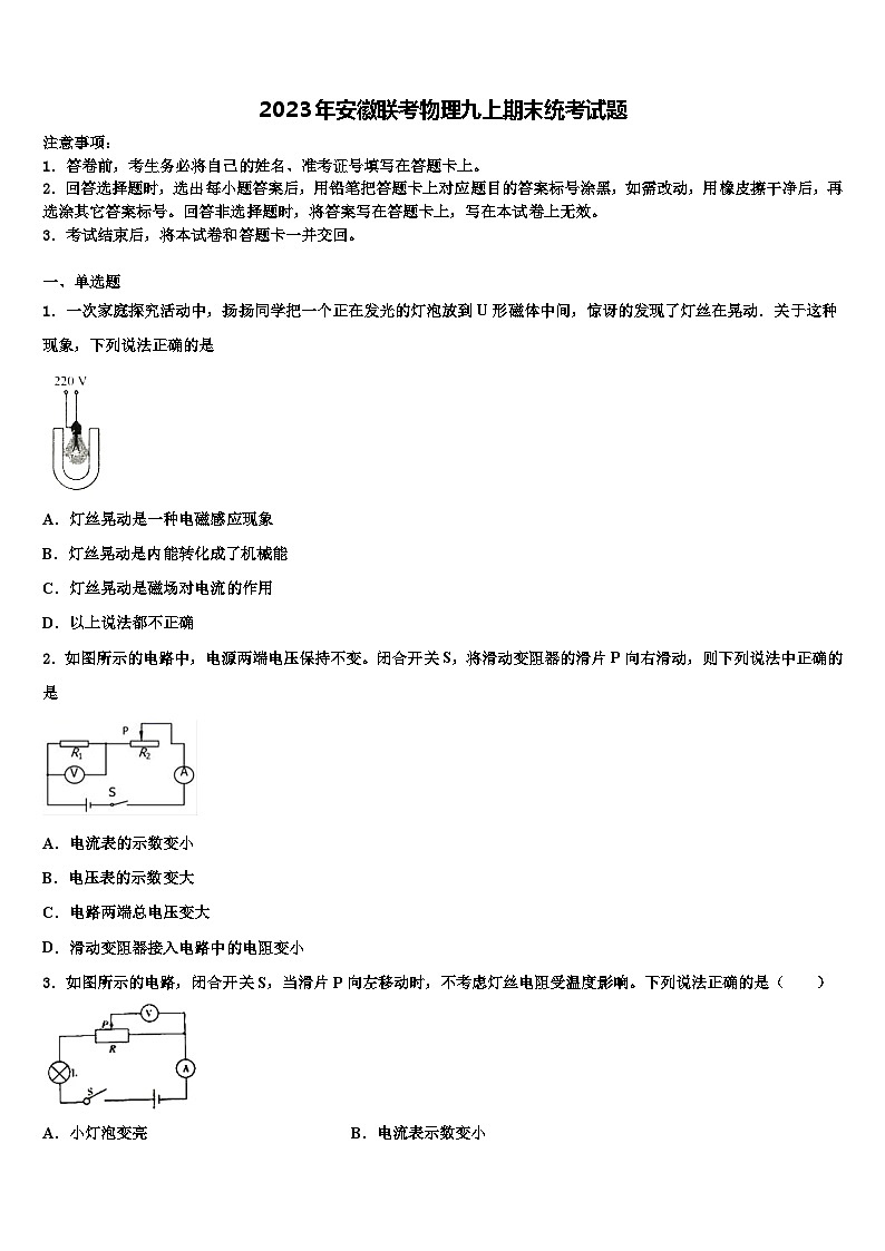 2023年安徽联考物理九上期末统考试题01