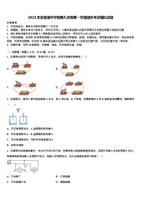 2023年安徽省中学物理九年级第一学期期末考试模拟试题