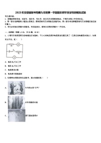 2023年安徽省联考物理九年级第一学期期末教学质量检测模拟试题