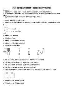 2023年安徽省九年级物理第一学期期末学业水平测试试题