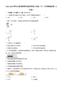 山东省菏泽外国语学校2022-2023学年八年级下学期3月月考物理试题