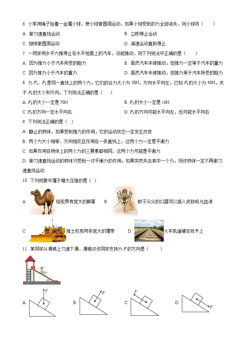 湖南省岳阳市临湘市第六中学2022-2023学年八年级下学期3月月考物理试题02