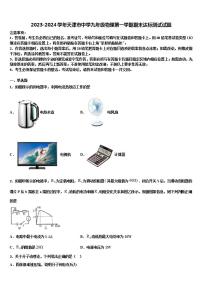 2023-2024学年天津市中学九年级物理第一学期期末达标测试试题