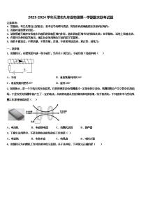 2023-2024学年天津市九年级物理第一学期期末联考试题