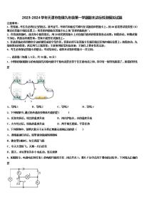 2023-2024学年天津市物理九年级第一学期期末达标检测模拟试题