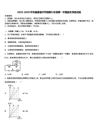 2023-2024学年福建省中学物理九年级第一学期期末预测试题