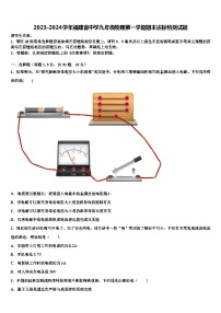 2023-2024学年福建省中学九年级物理第一学期期末达标检测试题