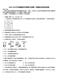 2023-2024学年福建省中学物理九年级第一学期期末达标检测试题 (2)