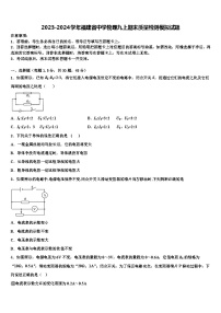 2023-2024学年福建省中学物理九上期末质量检测模拟试题