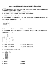 2023-2024学年福建省名校物理九上期末教学质量检测试题