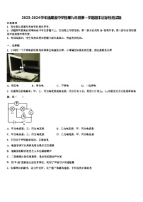 2023-2024学年福建省中学物理九年级第一学期期末达标检测试题