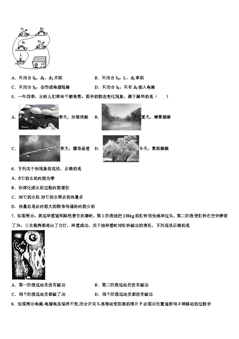 2023-2024学年福建省中学物理九年级第一学期期末达标检测试题02