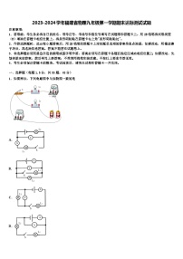 2023-2024学年福建省物理九年级第一学期期末达标测试试题