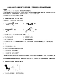 2023-2024学年福建省九年级物理第一学期期末学业质量监测模拟试题