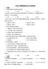 广东省韶关市新丰县2023年八年级上学期物理期末学业水平监测试卷附答案