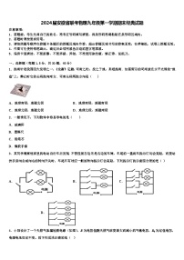 2024届安徽省联考物理九年级第一学期期末经典试题