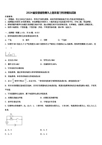 2024届安徽省物理九上期末复习检测模拟试题