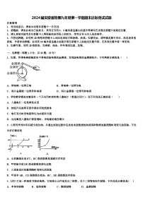 2024届安徽省物理九年级第一学期期末达标测试试题