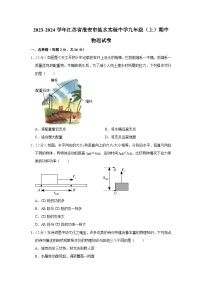 江苏省淮安市涟水实验中学2023-2024学年九年级上学期期中物理试卷