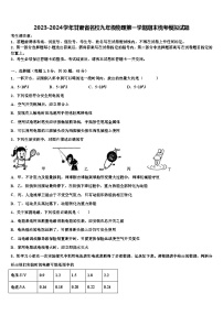 2023-2024学年甘肃省名校九年级物理第一学期期末统考模拟试题