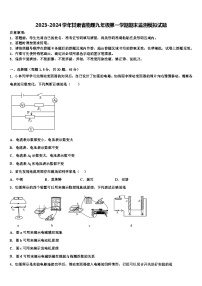 2023-2024学年甘肃省物理九年级第一学期期末监测模拟试题