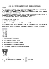 2023-2024学年甘肃省物理九年级第一学期期末质量检测试题