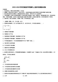 2023-2024学年甘肃省中学物理九上期末检测模拟试题