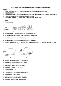 2023-2024学年甘肃省物理九年级第一学期期末经典模拟试题