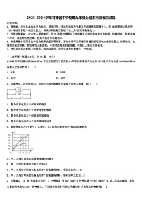 2023-2024学年甘肃省中学物理九年级上期末检测模拟试题