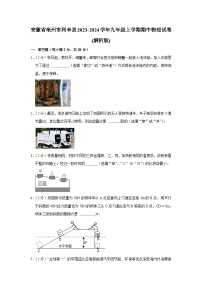 安徽省亳州市利辛县2023-2024学年九年级上学期期中物理试卷