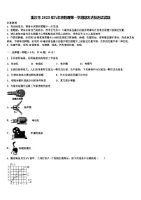 重庆市2023年九年级物理第一学期期末达标测试试题