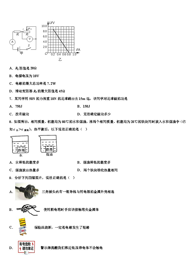 重庆市2023-2024学年物理九年级第一学期期末统考试题第3页