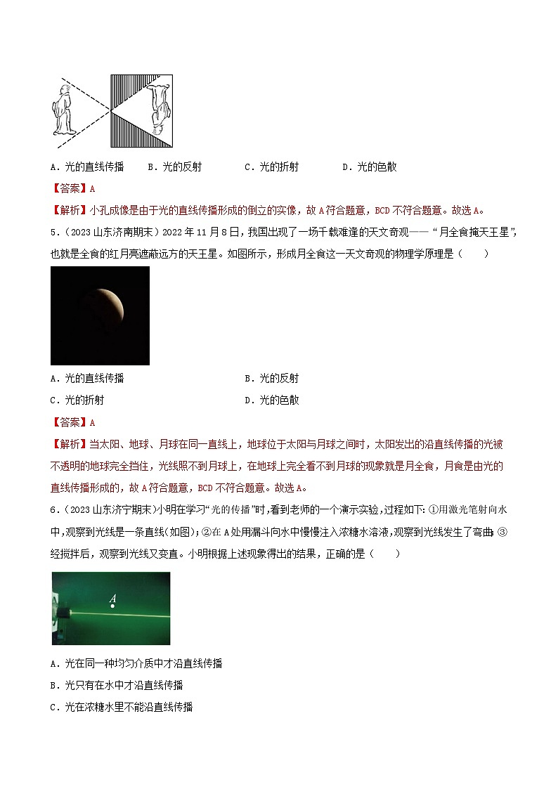 专题04  光现象-【备考期末】2023-2024学年八年级物理上学期期末真题分类汇编（人教版）02