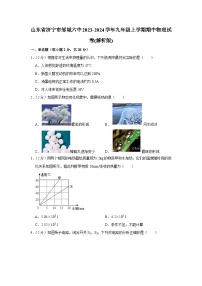 山东省济宁市邹城六中2023-2024学年九年级上学期期中物理试卷+