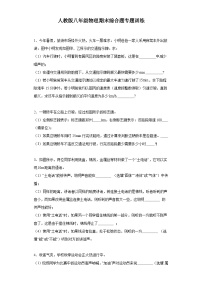 【期末复习】人教版 八年级上册 物理  期末综合题专题训练（含解析）