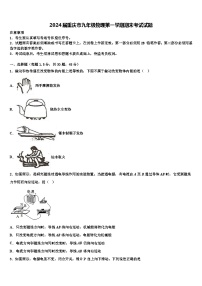 2024届重庆市九年级物理第一学期期末考试试题