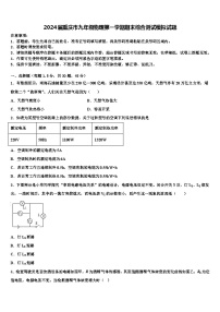 2024届重庆市九年级物理第一学期期末综合测试模拟试题