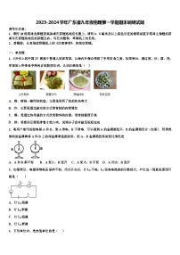 2023-2024学年广东省九年级物理第一学期期末调研试题