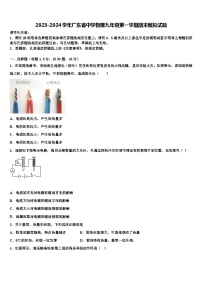 2023-2024学年广东省中学物理九年级第一学期期末模拟试题