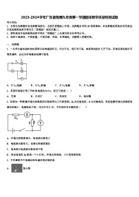 2023-2024学年广东省物理九年级第一学期期末教学质量检测试题