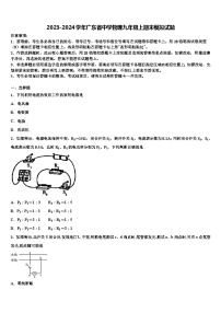 2023-2024学年广东省中学物理九年级上期末模拟试题