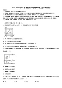 2023-2024学年广东省重点中学物理九年级上期末模拟试题