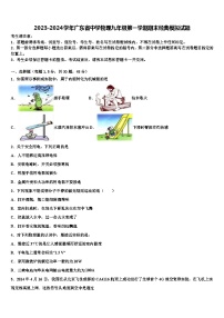 2023-2024学年广东省中学物理九年级第一学期期末经典模拟试题