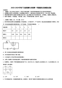 2023-2024学年广东省物理九年级第一学期期末达标模拟试题