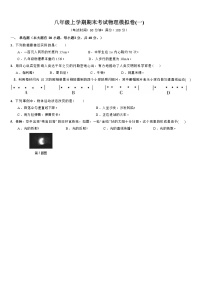 上海市杨思初级中学2023-2024学年八年级上学期期末考试模拟物理试卷（一）