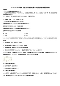 2023-2024学年广东省九年级物理第一学期期末联考模拟试题