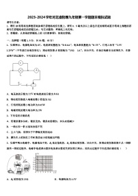 2023-2024学年河北省物理九年级上学期期末模拟试题