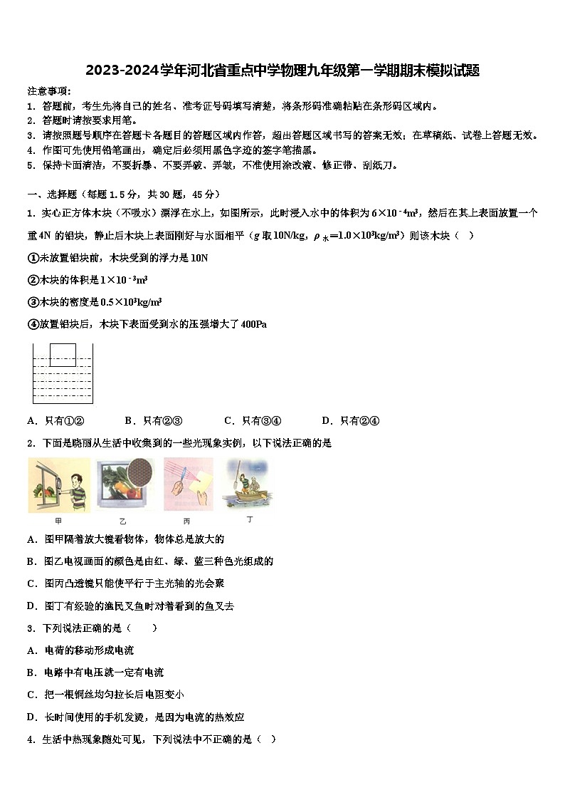 2023-2024学年河北省重点中学物理九年级第一学期期末模拟试题01