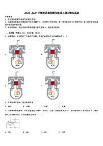 2023-2024学年河北省物理九年级上期末模拟试题