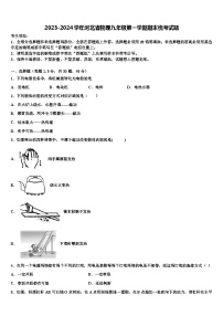 2023-2024学年河北省物理九年级第一学期期末统考试题